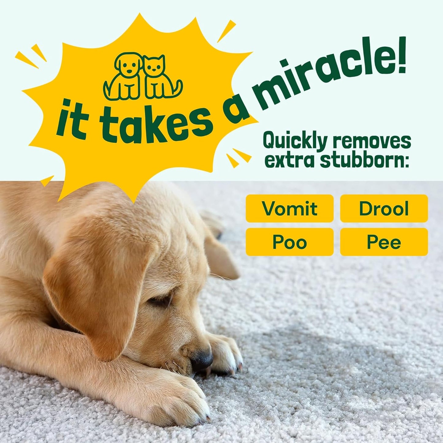 Sunny & Honey Pet Stain & Odor Miracle - Turbo Charged, 32 Fl Oz, Spring Mint - Carpet Shampooer Enzyme Cleaner Spray - Pet Urine & Odor Eliminator Spray - Stain Remover & Carpet Cleaning Solution