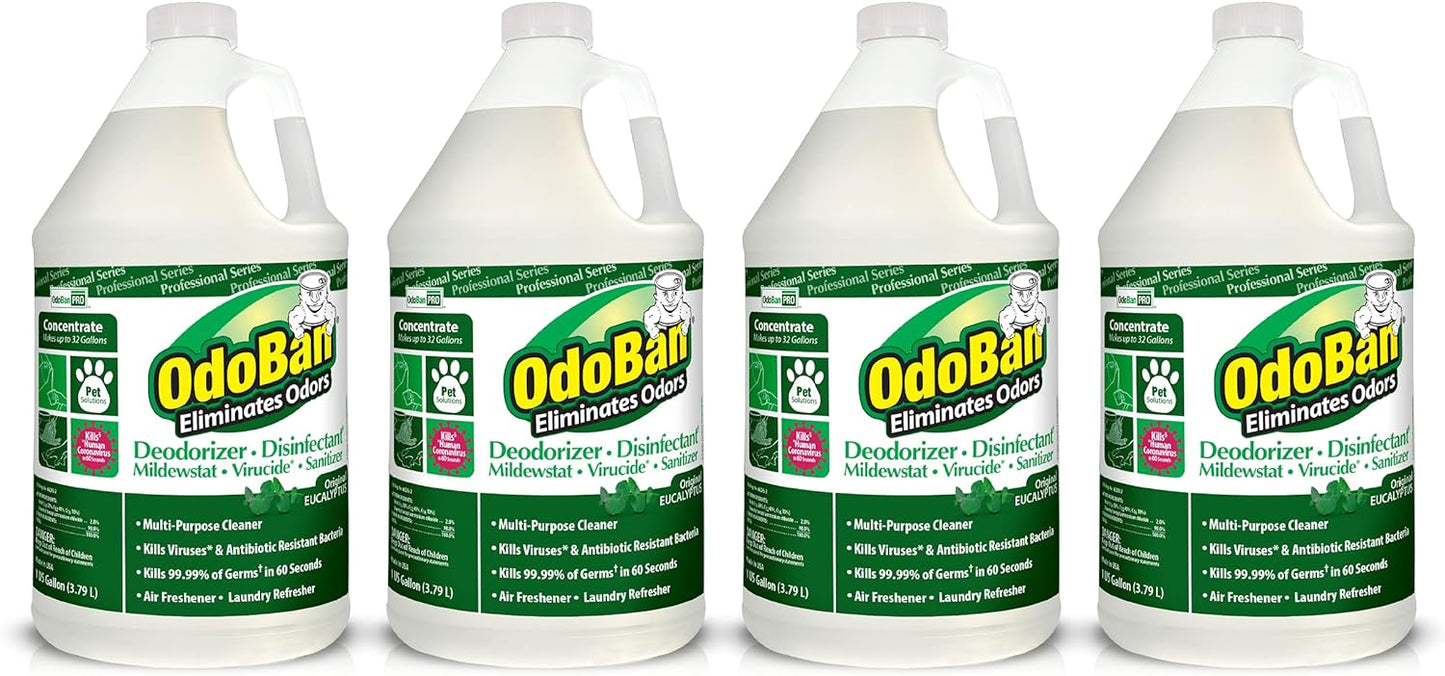 OdoBan Professional Disinfectant and Odor Eliminator Concentrate, Made in the USA, Original Eucalyptus Scent, 4-Pack, 1 Gallon Each