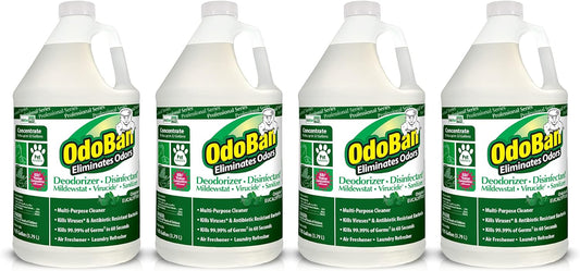 OdoBan Professional Disinfectant and Odor Eliminator Concentrate, Made in the USA, Original Eucalyptus Scent, 4-Pack, 1 Gallon Each