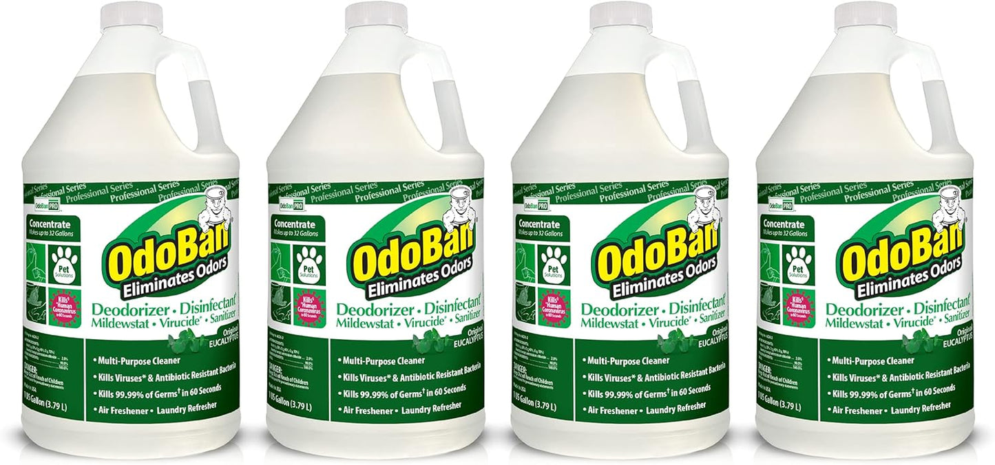 OdoBan Professional Disinfectant and Odor Eliminator Concentrate, 4 Gallons, Original Eucalyptus Scent