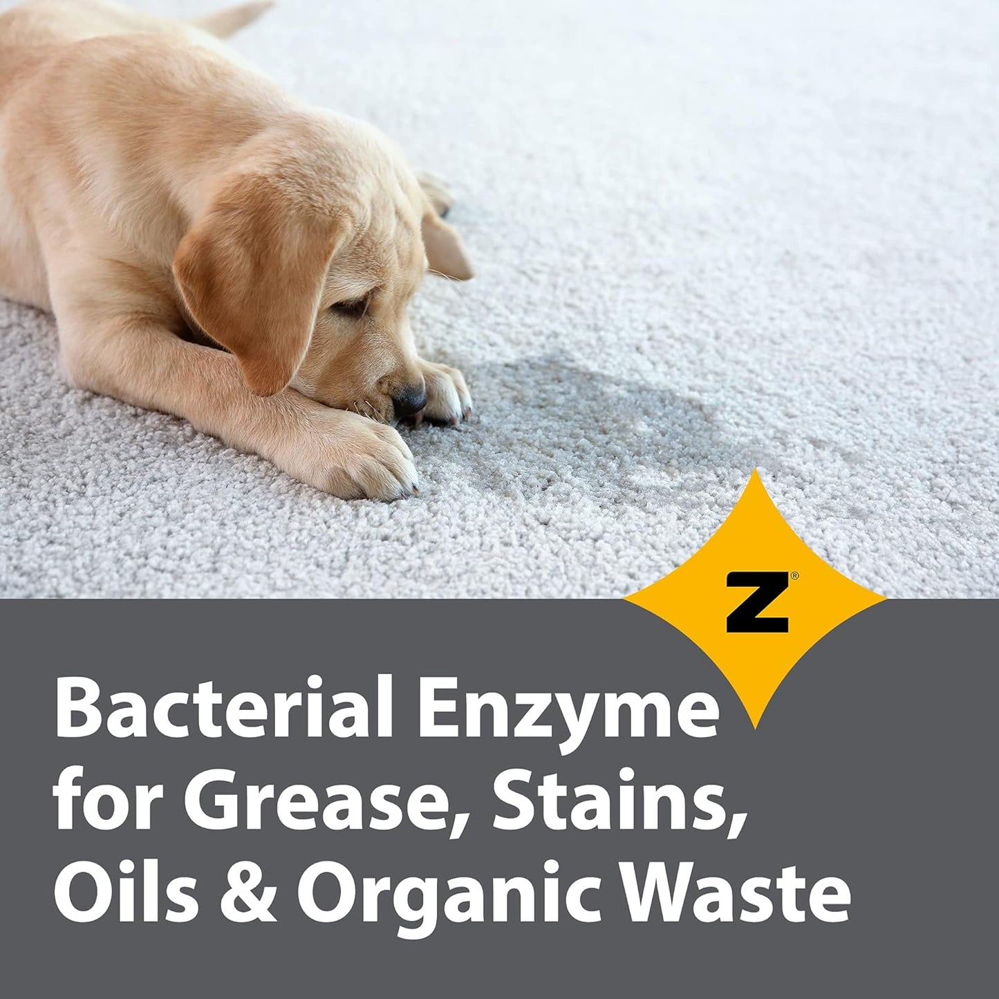 Pro-Grade Multi-Purpose Probiotic Enzyme Cleaner - Powerful Cleaning & Odor Eliminating Formula For Professional & Home Surfaces - 1 Gallon - Fragrance Free