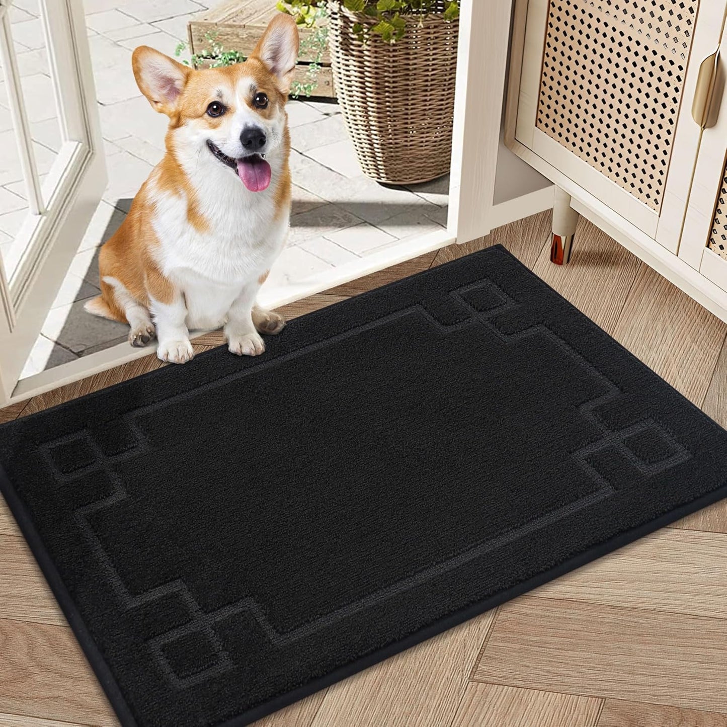 BEQHAUSE Door Mat 20" x 32", Non-Slip Door Mats Indoor Entryway Rugs Washable Low-Profile Absorbent and Stain Resist Floor Mats, Dog Door Mat for Front Back Door, Muddy Wet Shoes & Paws, Black