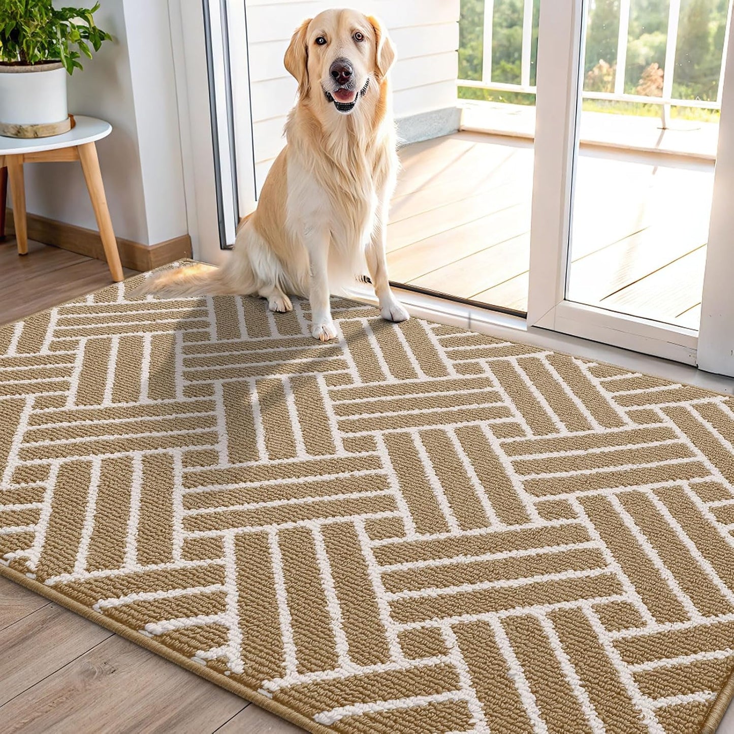 OLANLY Indoor Door Mat, 48x32 Inch, Dirt Resistant and Absorbent, Non-Slip Rubber Backing Floor Mats, Easy Clean Low-Profile Doormat for Entryway, Front Door, and Inside Entrance, Beige