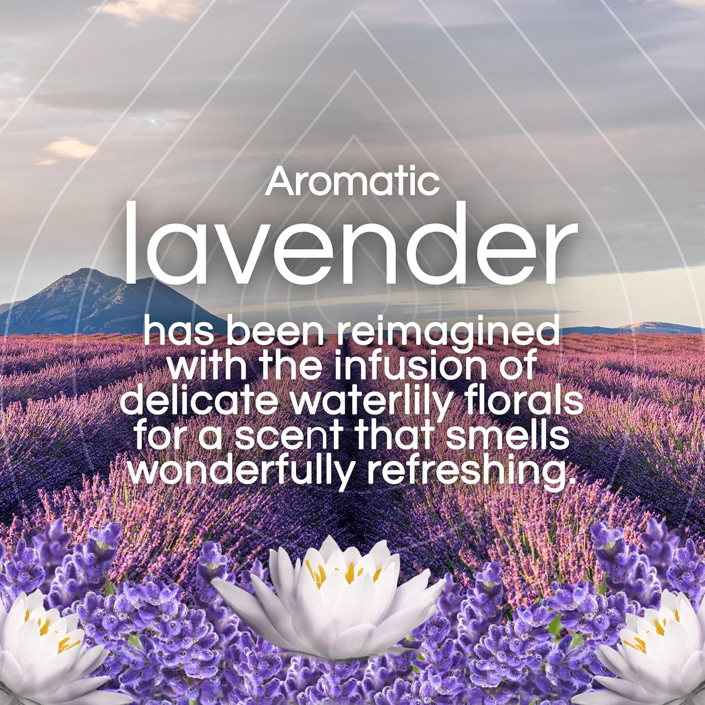 Air Wick Scented Oils 0+5 Lavender & Waterlily