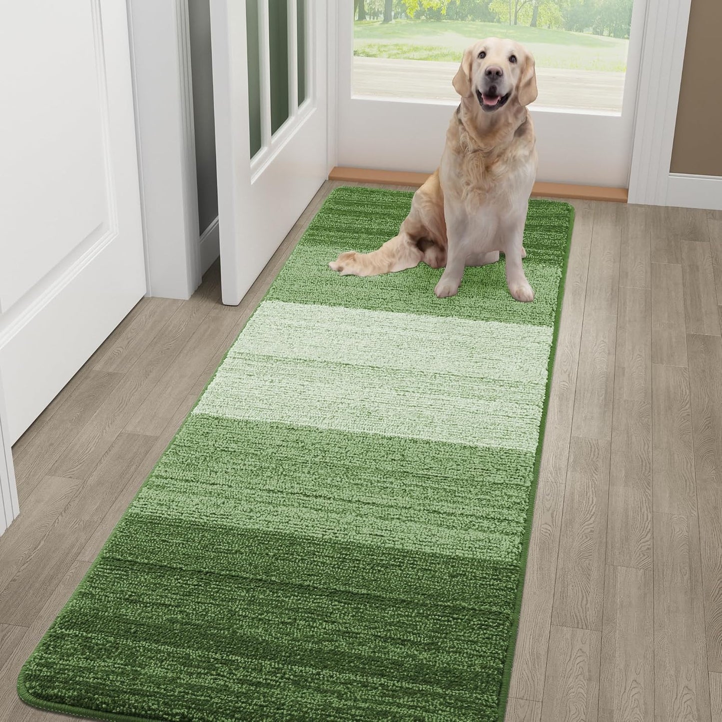 Kitinjoy Indoor Outdoor Door Mat, 48x30 Non-Slip Absorbent Dirt Trapper, Low-Profile Washable Inside Entrance Front Floor Mat, Sturdy Soft Entry Doormats for Entryway, Green