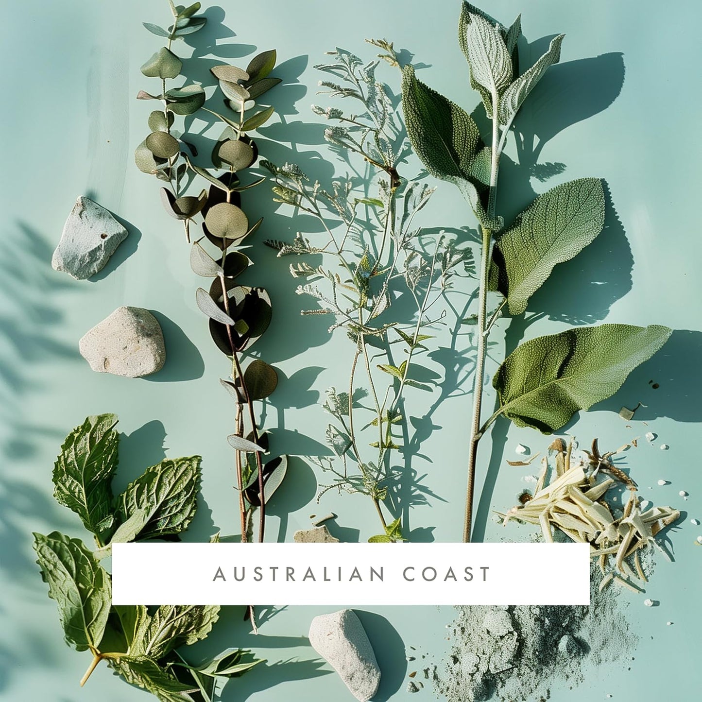 ScentAir Whisper Home Monthly Plug-in Refill, Fragrance Cartridge for Home and Office, Australian Coast