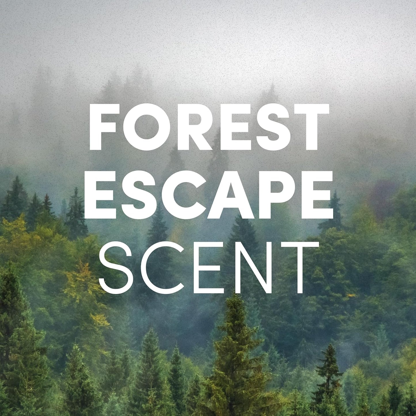 Clean Revolution Foaming Hand Soap Refill Supply Container, Ready to Use Formula, Forest Escape Fragrance, 64 Fl Oz (Pack of 1)