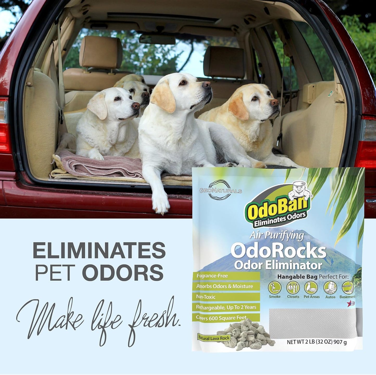 OdoBan Air Purifying OdoRocks Natural Odor Eliminator Made from Natural Volcanic Rocks, Made in the USA, Fragrance Free, 6-Pack, 2 Pounds Each