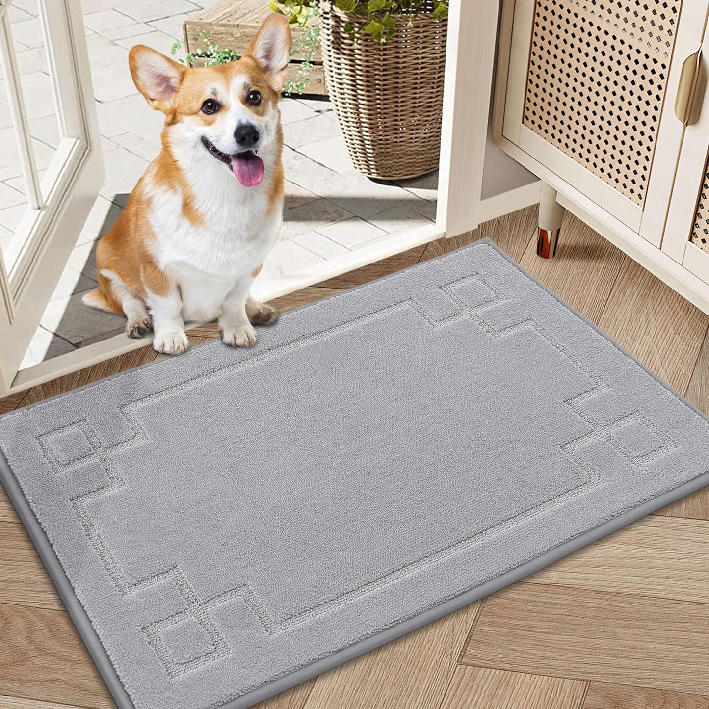 BEQHAUSE Door Mat 20" x 32", Non-Slip Door Mats Indoor Entryway Rugs Washable Low-Profile Absorbent and Stain Resist Floor Mats, Dog Door Mat for Front Back Door, Muddy Wet Shoes & Paws, Light Grey