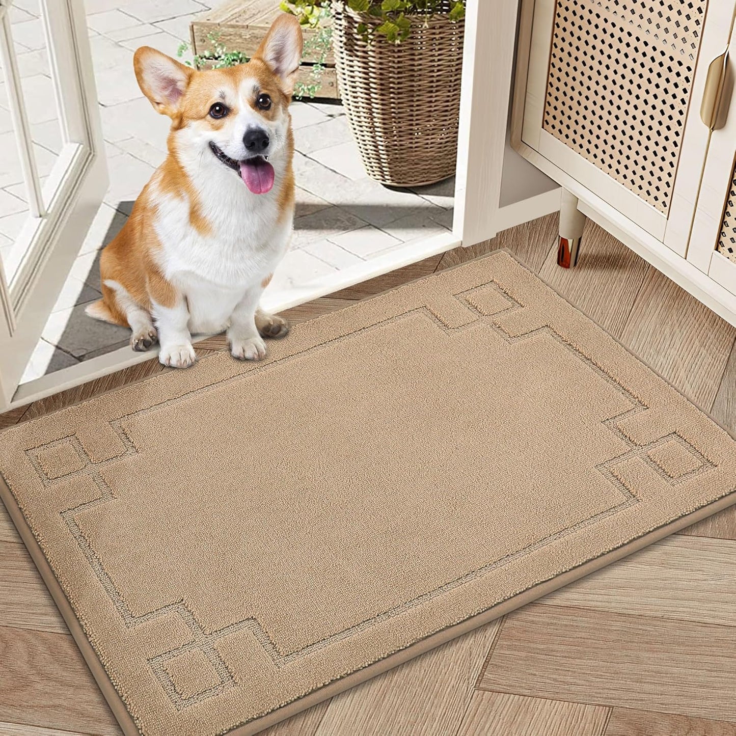 BEQHAUSE Door Mat 20" x 32", Non-Slip Door Mats Indoor Entryway Rugs Washable Low-Profile Absorbent and Stain Resist Floor Mats, Dog Door Mat for Front Back Door, Muddy Wet Shoes & Paws, Beige